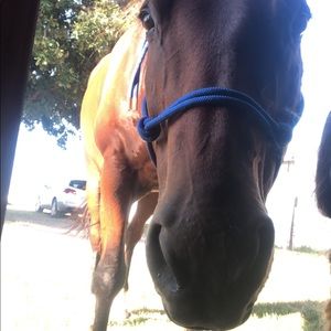 Meet your Posher, Chloe